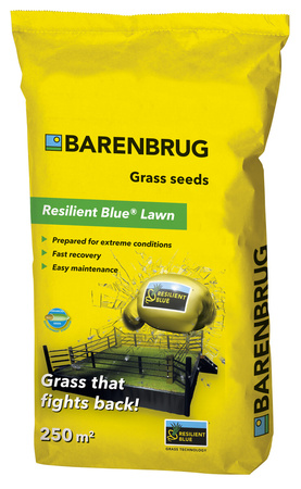 Trawa Barenbrug Resilent Blue Lawn Bardzo Odporna Uniwersalna 5KG