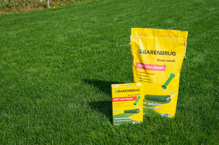 Trawa Barenbrug Regeneracyjna SOS Lawn Quick Repair Naprawa Trawnika 1KG