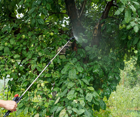 Opryskiwacz Akumulatorowy Ciśnieniowy Plecakowy 10L Przenośny